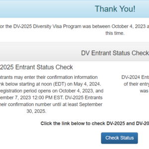 DV 2025 Lottery Results Statistics